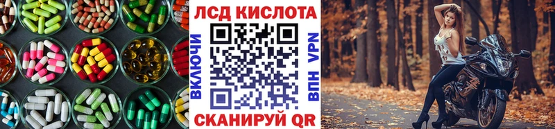 Купить  Шахунья  LSD-25 экстази кислота 