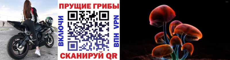 Галлюциногенные грибы ЛСД  Купить закладки  Шахунья 