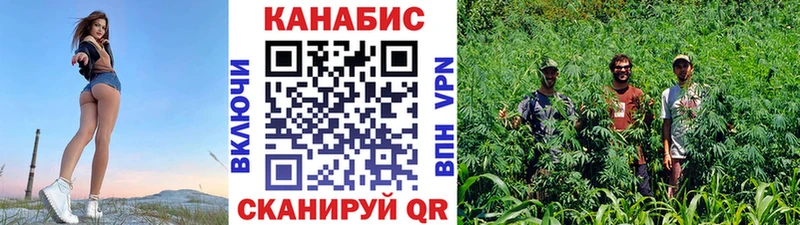 Купить где Шахунья Канабис White Widow